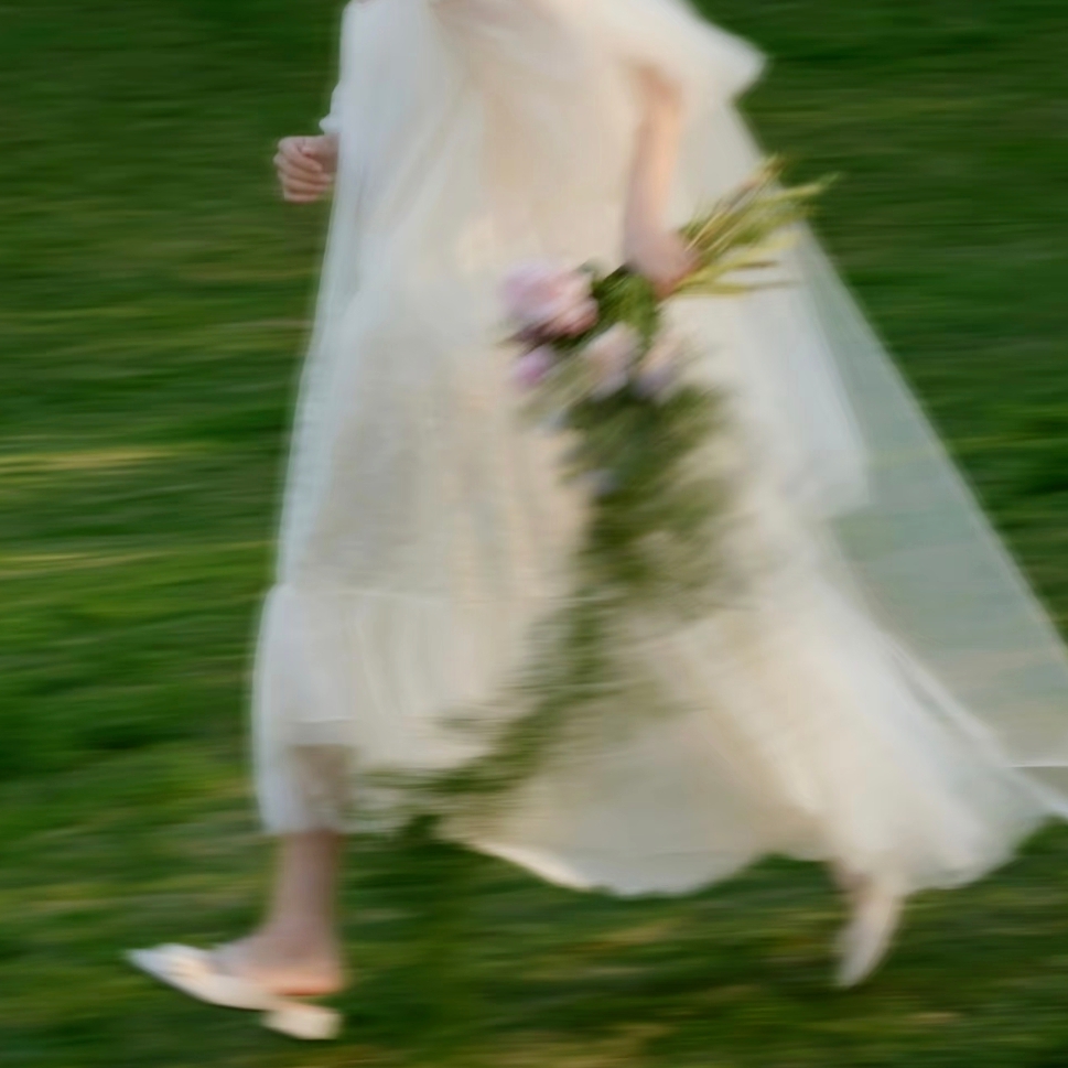 King Charles Cavalier